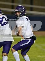 Photo from the gallery "Live Oak @ Pierce"