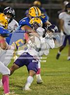 Photo from the gallery "Live Oak @ Pierce"