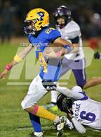 Photo from the gallery "Live Oak @ Pierce"