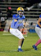 Photo from the gallery "Live Oak @ Pierce"