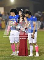 Photo from the gallery "Live Oak @ Pierce"