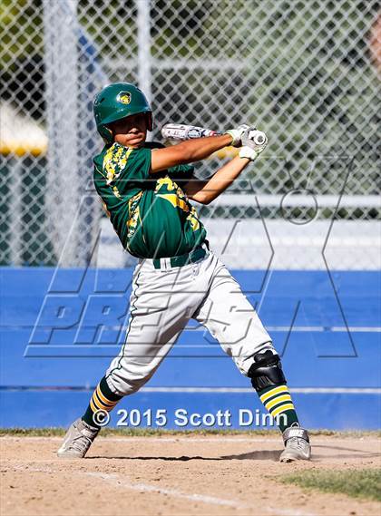 Thumbnail 3 in Live Oak @ Pioneer photogallery.