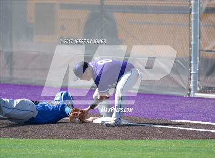 Thumbnail 3 in Bloomfield @ Miyamura photogallery.