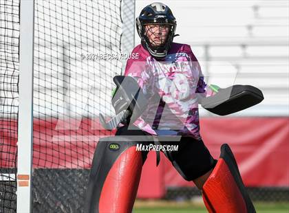 Thumbnail 1 in Charlotte Catholic vs Asheville (NCFHA Round 1) photogallery.