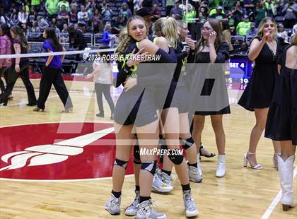 Thumbnail 2 in Blum vs. Harrold (UIL 1A Volleyball Final) photogallery.