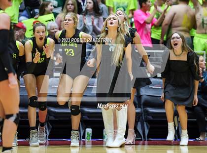 Thumbnail 3 in Blum vs. Harrold (UIL 1A Volleyball Final) photogallery.