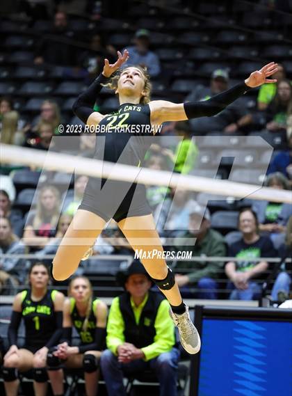 Thumbnail 2 in Blum vs. Harrold (UIL 1A Volleyball Final) photogallery.
