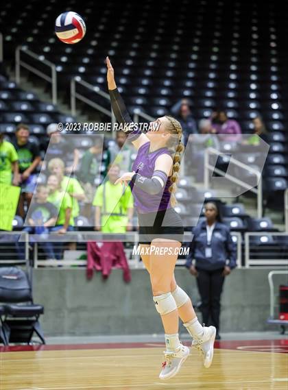 Thumbnail 2 in Blum vs. Harrold (UIL 1A Volleyball Final) photogallery.