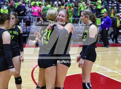 Thumbnail 2 in Blum vs. Harrold (UIL 1A Volleyball Final) photogallery.