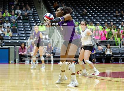 Thumbnail 2 in Blum vs. Harrold (UIL 1A Volleyball Final) photogallery.