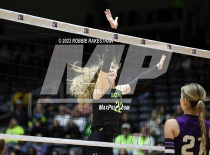 Thumbnail 1 in Blum vs. Harrold (UIL 1A Volleyball Final) photogallery.