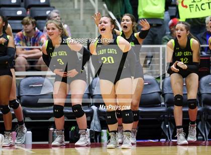 Thumbnail 2 in Blum vs. Harrold (UIL 1A Volleyball Final) photogallery.