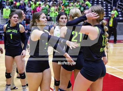 Thumbnail 3 in Blum vs. Harrold (UIL 1A Volleyball Final) photogallery.