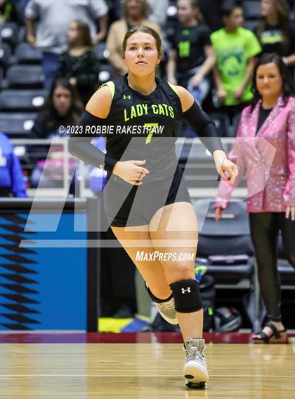 Thumbnail 1 in Blum vs. Harrold (UIL 1A Volleyball Final) photogallery.