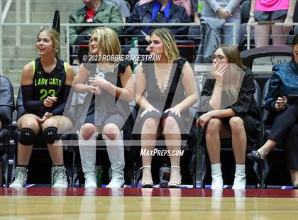 Thumbnail 1 in Blum vs. Harrold (UIL 1A Volleyball Final) photogallery.