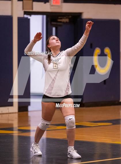 Thumbnail 3 in Freehold Boro @ Marlboro photogallery.