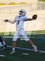 Photo from the gallery "Casa Roble @ West Park"