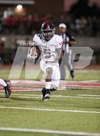 Photo from the gallery "Mustang @ Yukon"