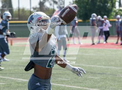 Thumbnail 1 in Saguaro vs. Helix (Honor Bowl) photogallery.
