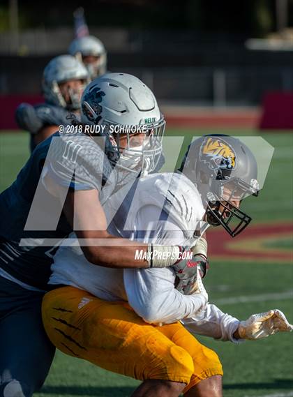 Thumbnail 3 in Saguaro vs. Helix (Honor Bowl) photogallery.
