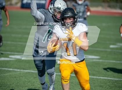 Thumbnail 1 in Saguaro vs. Helix (Honor Bowl) photogallery.