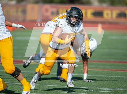 Thumbnail 1 in Saguaro vs. Helix (Honor Bowl) photogallery.