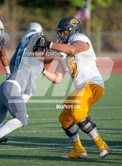 Thumbnail 1 in Saguaro vs. Helix (Honor Bowl) photogallery.