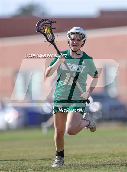 Thumbnail 3 in Pinecrest @ Terry Sanford photogallery.