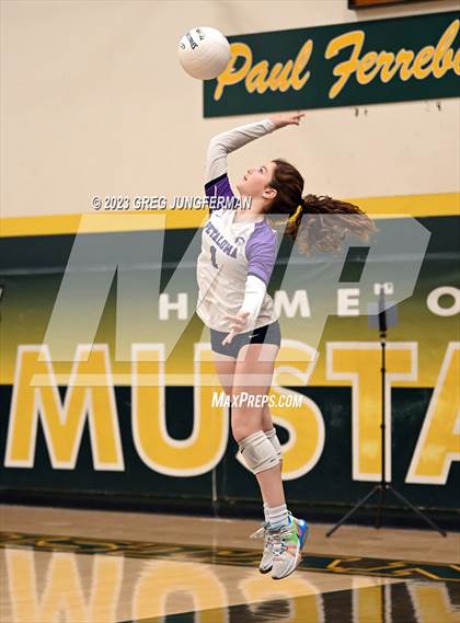 Thumbnail 2 in Petaluma @ San Marin (CIF NCS D3 Playoffs) photogallery.