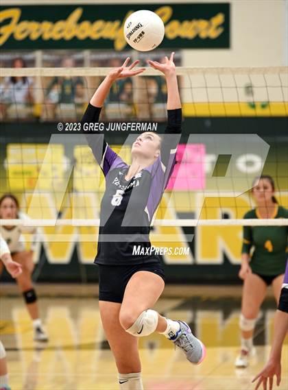 Thumbnail 1 in Petaluma @ San Marin (CIF NCS D3 Playoffs) photogallery.