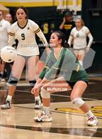 Photo from the gallery "Petaluma @ San Marin (CIF NCS D3 Playoffs)"