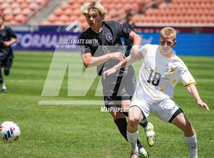 Thumbnail 2 in Wasatch vs. Roy (UHSAA 5A Final) photogallery.