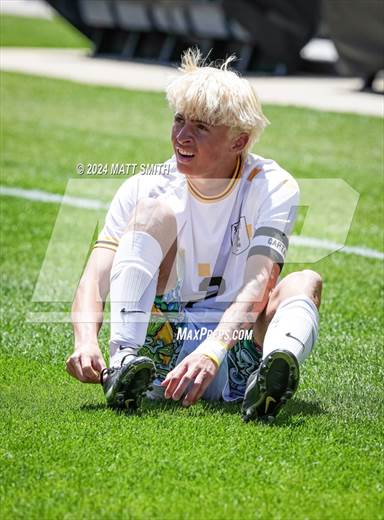 null - Photo 41