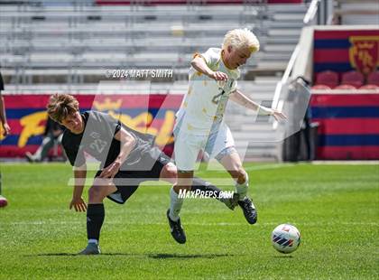 Thumbnail 1 in Wasatch vs. Roy (UHSAA 5A Final) photogallery.