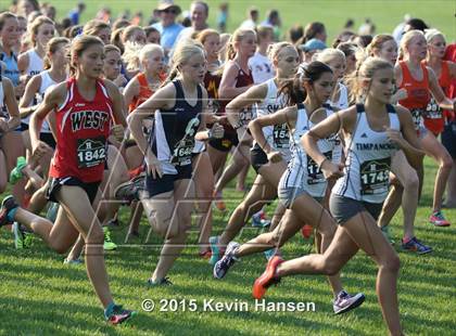 Thumbnail 1 in Highland Cross Country Invitational photogallery.