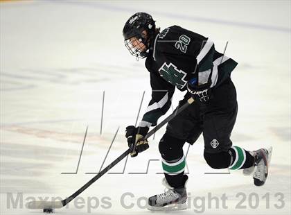 Thumbnail 3 in New Milford @ New Fairfield/Immaculate photogallery.