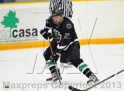 Thumbnail 2 in New Milford @ New Fairfield/Immaculate photogallery.
