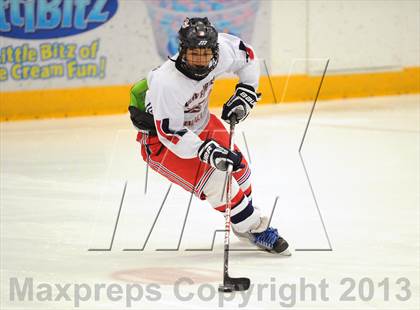 Thumbnail 1 in New Milford @ New Fairfield/Immaculate photogallery.