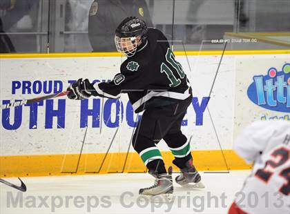 Thumbnail 1 in New Milford @ New Fairfield/Immaculate photogallery.