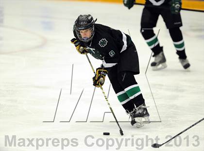 Thumbnail 2 in New Milford @ New Fairfield/Immaculate photogallery.