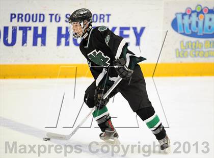 Thumbnail 1 in New Milford @ New Fairfield/Immaculate photogallery.