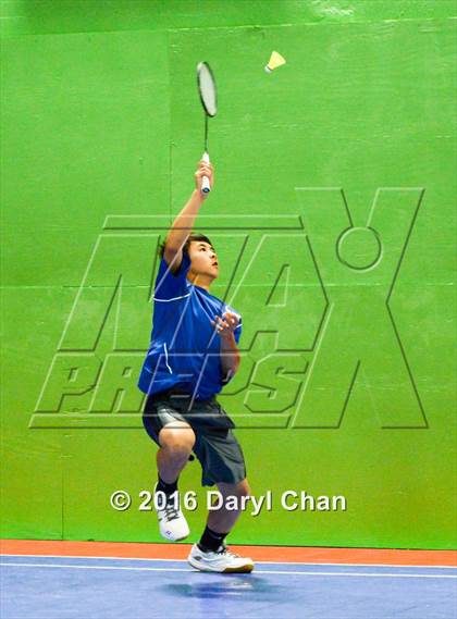 Thumbnail 1 in Almont League Badminton Finals photogallery.