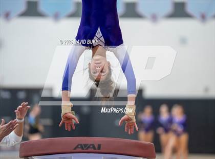 Thumbnail 3 in Gainesville Invitational (Vault) photogallery.