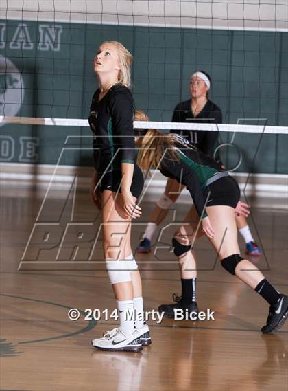 Thumbnail 1 in Pitman vs. St. Mary's (CIF SJS Playoff) photogallery.