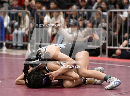 Thumbnail 2 in CIF-SS Girls Masters Wrestling 1/2 photogallery.