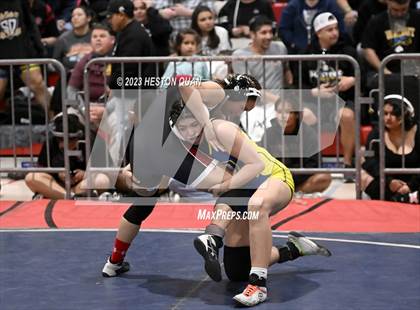 Thumbnail 1 in CIF-SS Girls Masters Wrestling 1/2 photogallery.