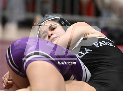 Thumbnail 1 in CIF-SS Girls Masters Wrestling 1/2 photogallery.