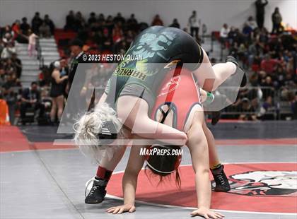 Thumbnail 1 in CIF-SS Girls Masters Wrestling 1/2 photogallery.