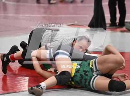 Thumbnail 2 in CIF-SS Girls Masters Wrestling 1/2 photogallery.
