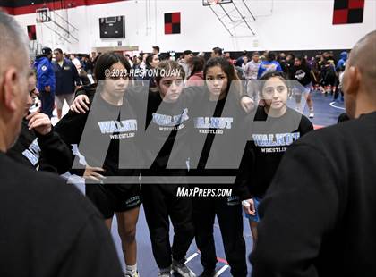 Thumbnail 1 in CIF-SS Girls Masters Wrestling 1/2 photogallery.